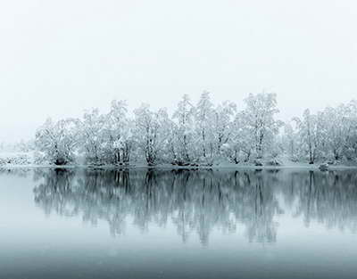 Migrantlar giyohvand moddalar «podstava» qilinayotganini da’vo qilmoqda