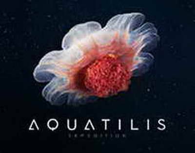 İran bu xəbəri TƏKZİB ETDİ