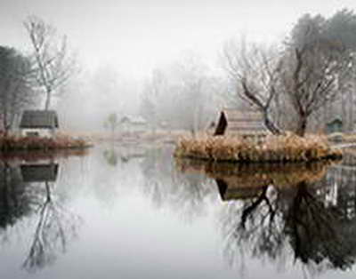 МАСЛИҲАТИ МУТАХАССИС. Растаниҳои баҳории ҷағ-ҷағ ва ҷамилак барои бемориҳои фишорбаландӣ муфиданд