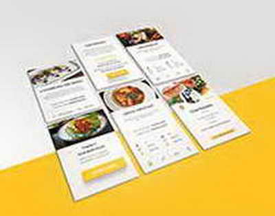 Билік, білім және жаңа элита